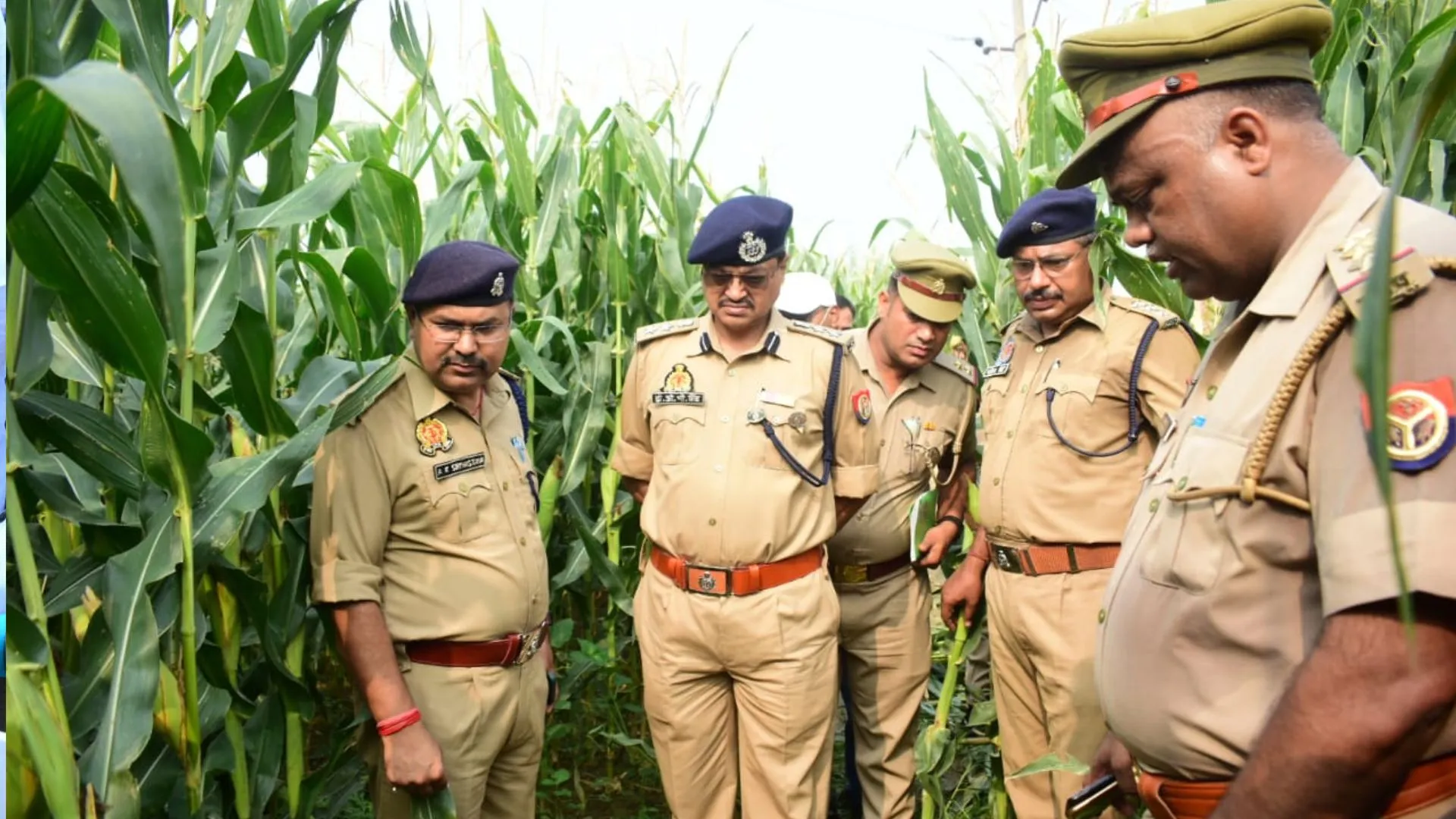 बदायूं: बच्चे की हत्या कर मक्का के खेत में फेंका शव, जांच में जुटी पुलिस