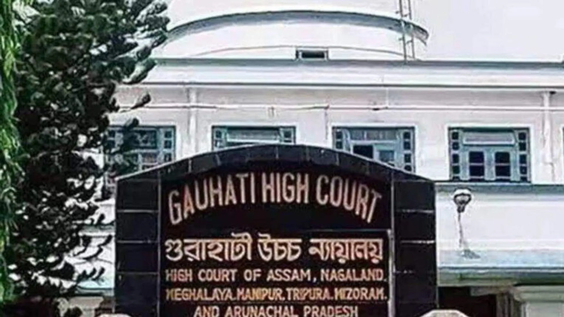 गौहाटी हाई कोर्ट का बड़ा फैसला, डब्ल्यूएफआई चुनावों पर लगाई रोक 