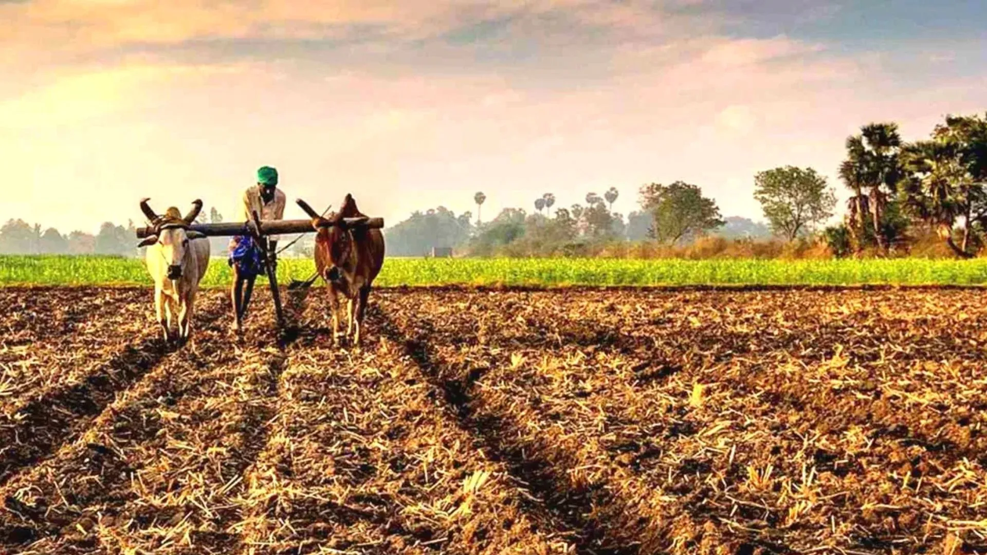 बरेली: चला निर्विवाद वरासत अभियान तो खतौनियों में जिंदा मिले 1291 मृत किसान