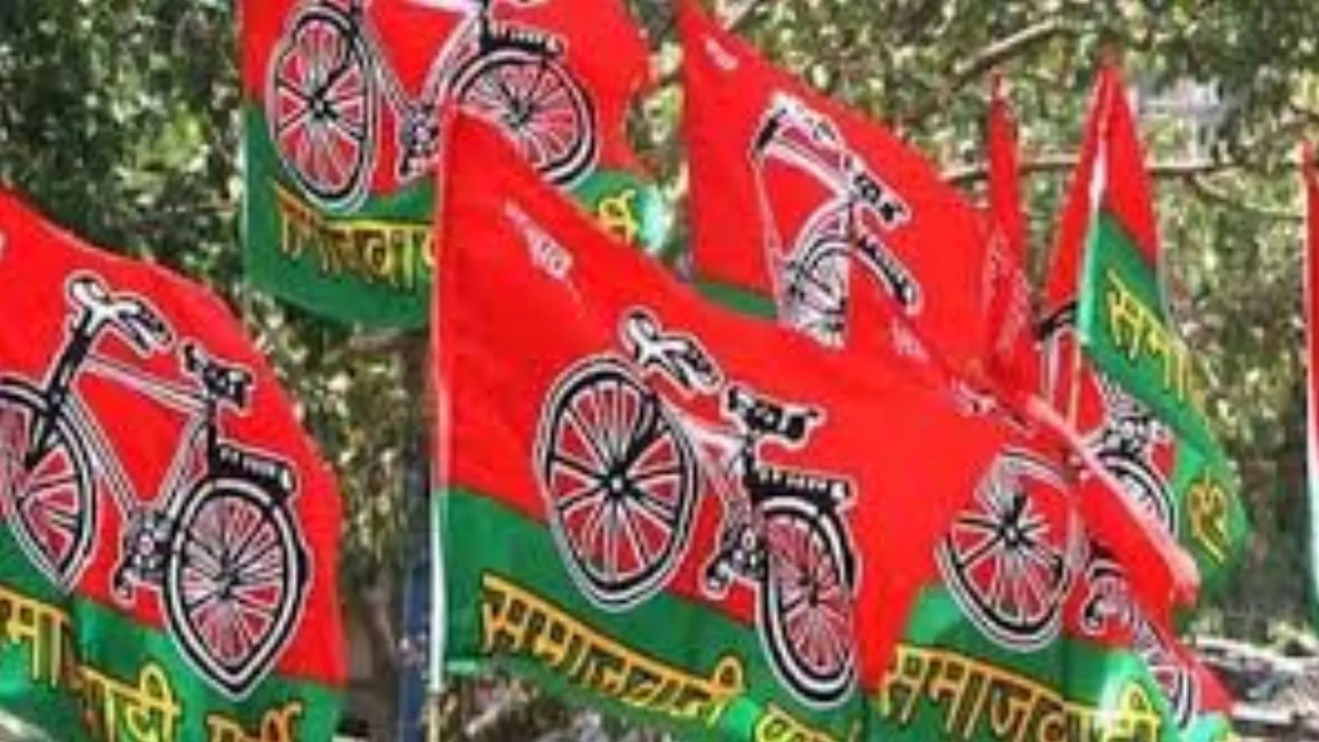 पीलीभीत:  बगावत और भितरघात की मिली माफी या फिर हो गए आउट...जानिए क्या है मामला