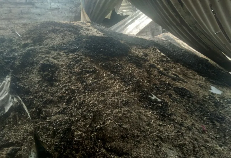 रामपुर : मुर्गी दाने के गोदाम में लगी आग, पांच लाख का नुकसान