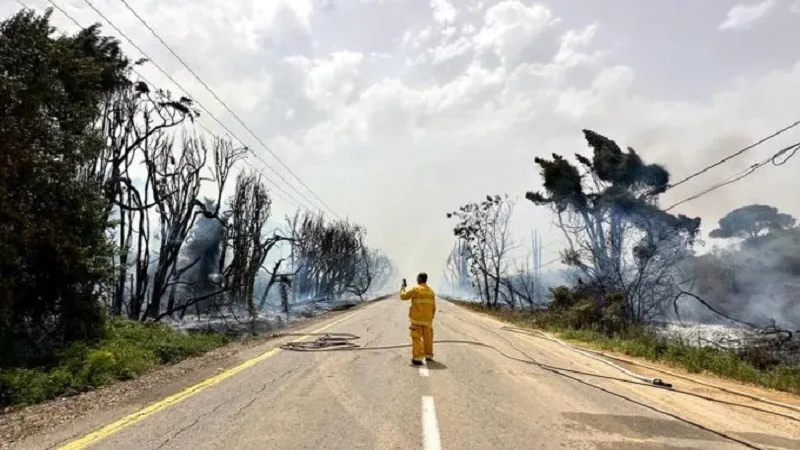 इजरायल में भीषण गर्मी के कारण 220 जगहों पर लगी आग, कड़ी मशक्कत के बाद पाया काबू 