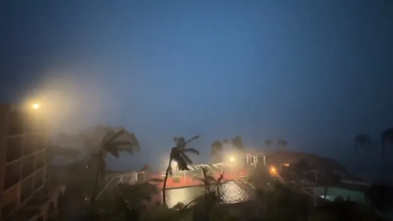 जापान में चक्रवाती तूफान मावार का कहर, एक की मौत, 30 घायल 