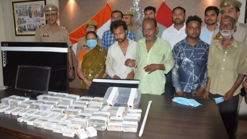 Kanpur: किराए का कमरा लेने के बहाने महिला करती थी रेकी, फिर गिरोह साइकिल से वारदात को देता था अंजाम, ऐसे हुआ खुलासा