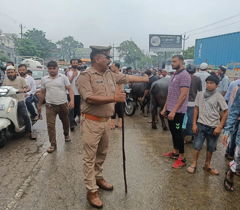 मुरादाबाद : भैंस-बकरी बाजार दूर की बात, मुर्गी तक कालोनी में प्रवेश नहीं कर सकती...