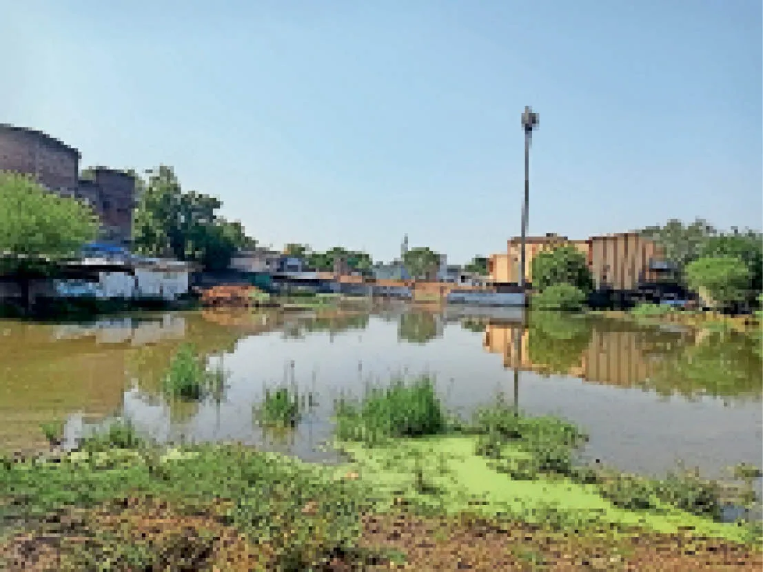बाजपुर: बारिश का पानी खाली प्लाटों में हुआ जमा 