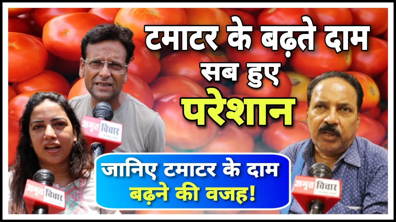 टमाटर का भाव सुन लाल हो रहे ग्राहक, भारी बारिश और कमजोर सप्लाई बनी वजह