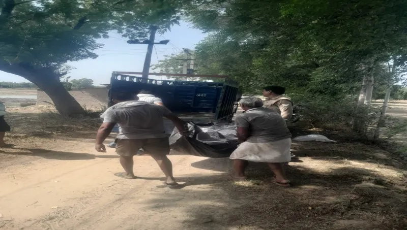 रायबरेली: सुनसान बाग में मिला युवक का संदिग्ध शव, फैली सनसनी