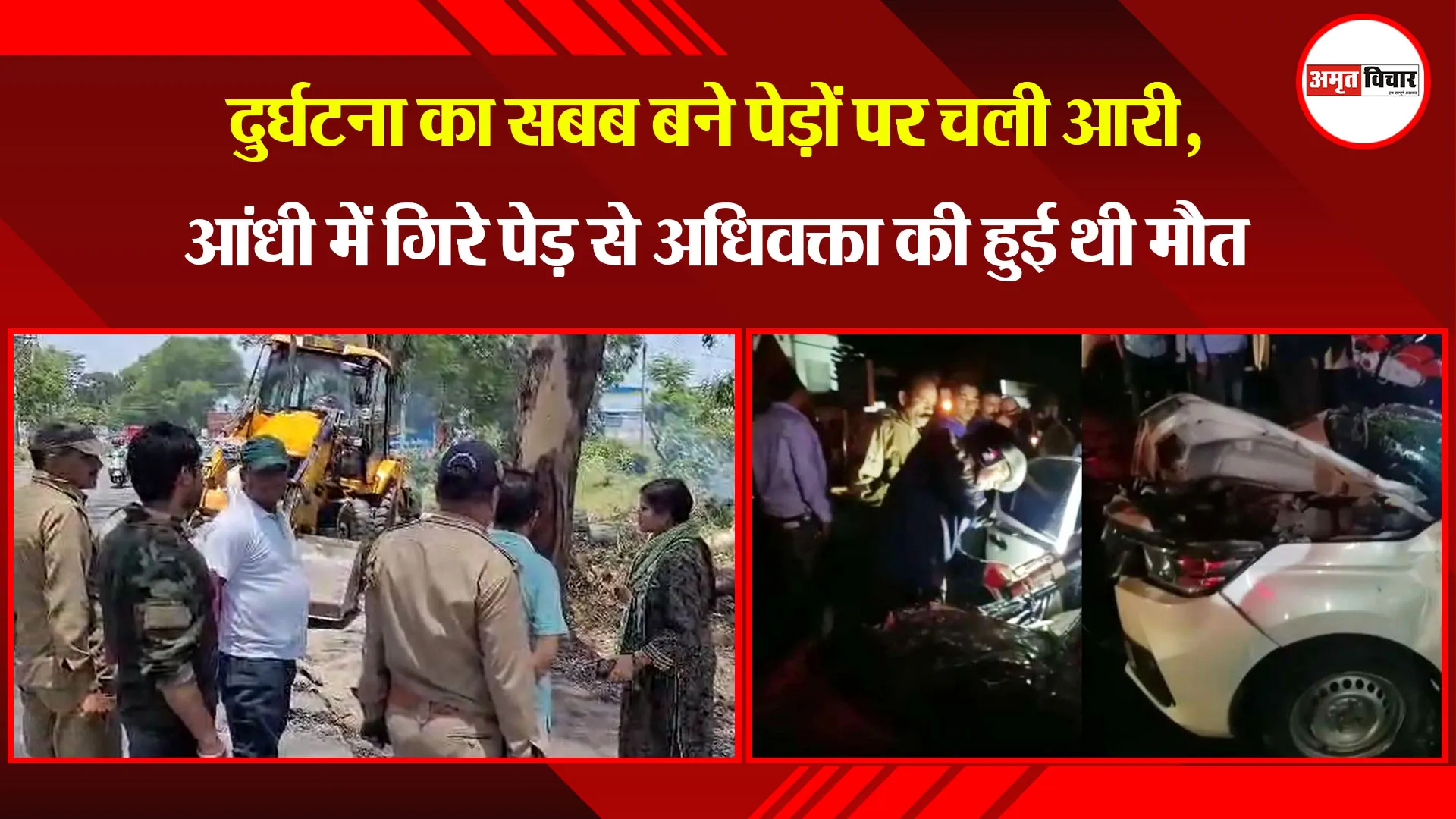 हल्द्वानी: दुर्घटना का सबब बने पेड़ों पर चली आरी, आंधी में गिरे पेड़ से अधिवक्ता की हुई थी मौत 