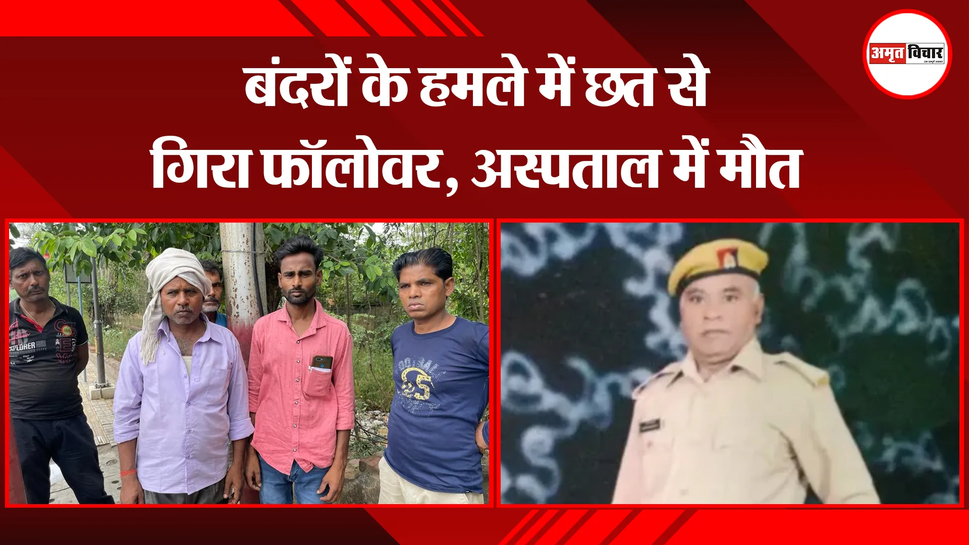 बरेली: बंदरों में हमले में छत से गिरा फॉलोवर, अस्पताल में मौत