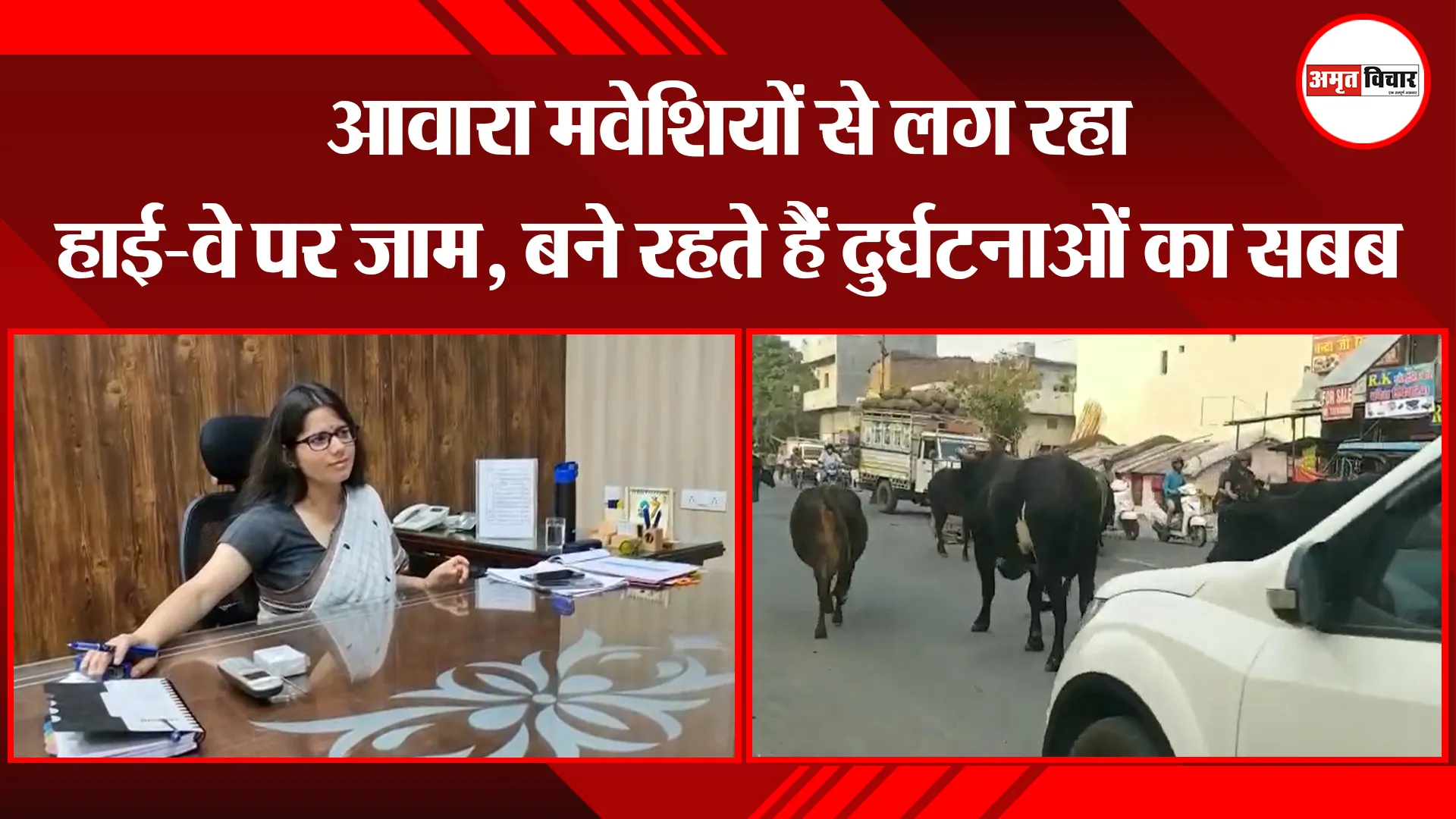 हल्द्वानी: आवारा मवेशियों से लग रहा हाई-वे पर जाम, बने रहते हैं दुर्घटनाओं का सबब