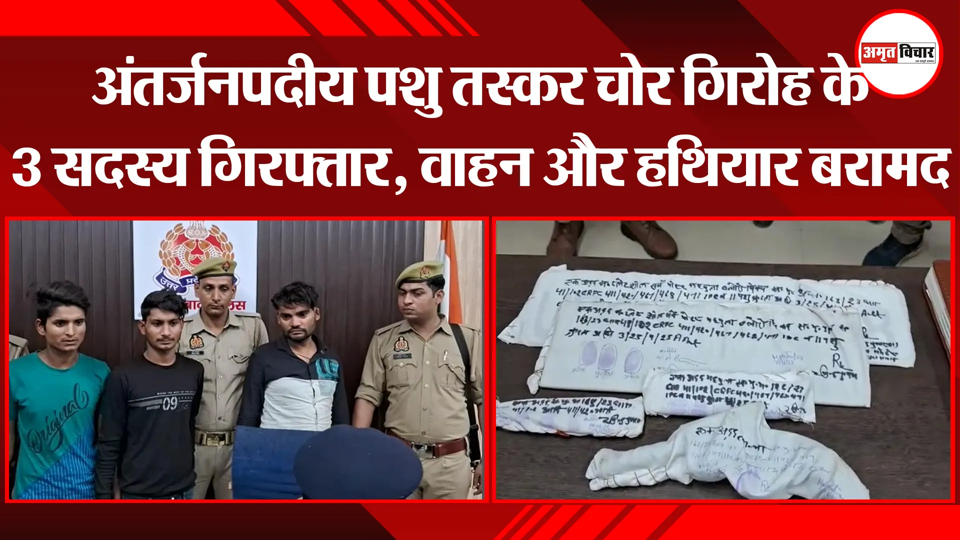 मुरादाबाद: अंतर्जनपदीय पशु तस्कर चोर गिरोह के 3 सदस्य गिरफ्तार, वाहन और हथियार बरामद