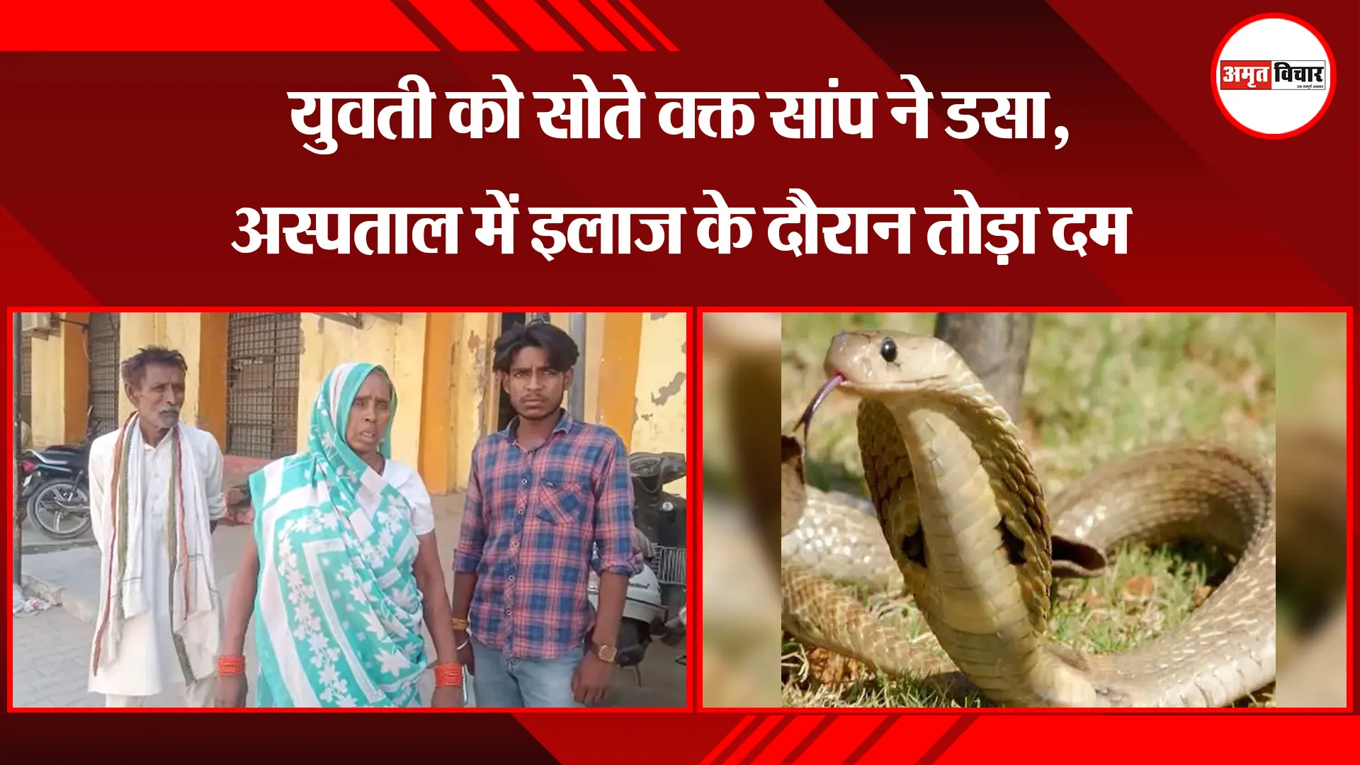 बरेली: युवती को सोते वक्त सांप ने डसा, अस्पताल में इलाज के दौरान तोड़ा दम