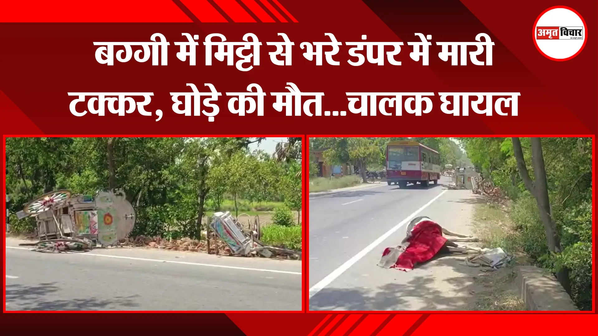मुरादाबाद: बग्गी में मिट्टी से भरे डंपर में मारी टक्कर, घोड़े की मौत...चालक घायल
