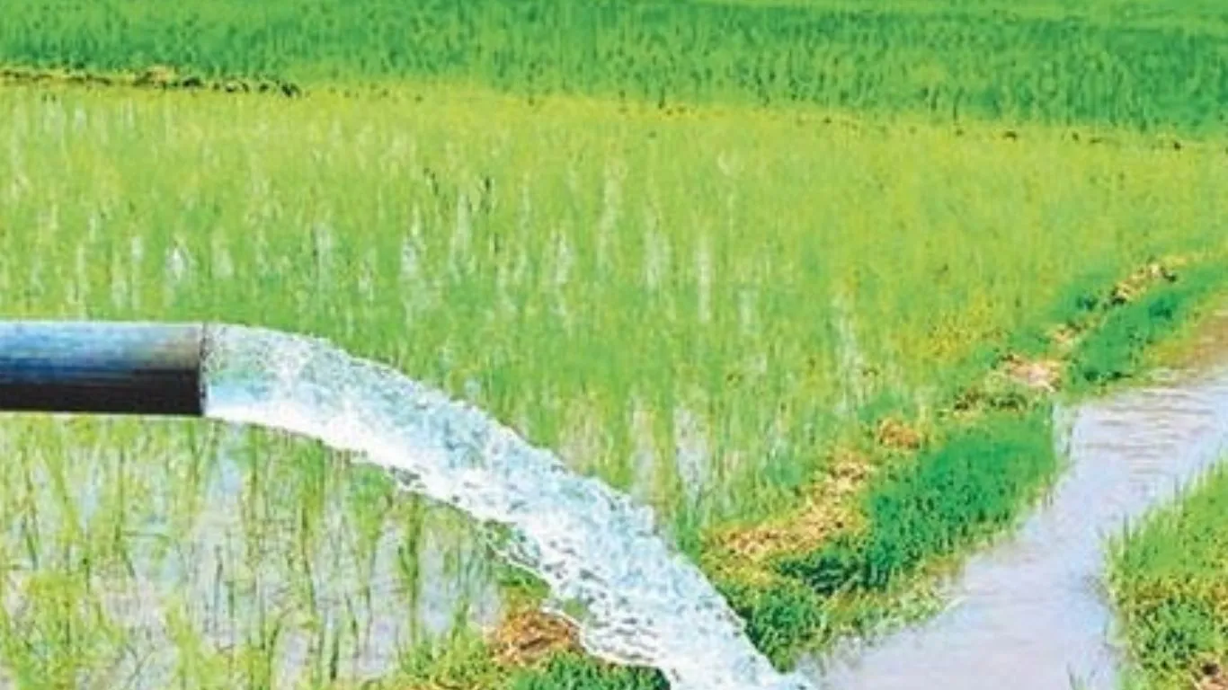 Almora News: नहरें खस्ताहाल होने से किसान सिंचाई से वंचित, आपदा व सड़क निर्माण से हुई क्षतिग्रस्त