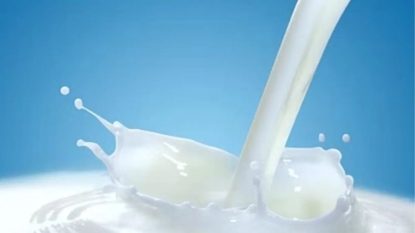 राहत-  आंचल के उत्पादों की कीमतें घटीं, दूध 2 रुपये व घी 40 रुपये प्रति लीटर सस्ता 