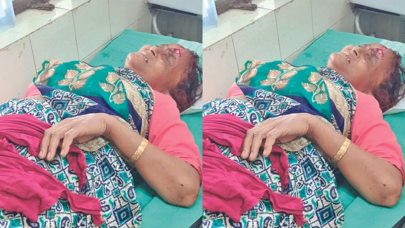 रानीखेतः गुलदार ने महिला पर किया हमला, पूर्व में कई मवेशियों को बना चुका है निवाला