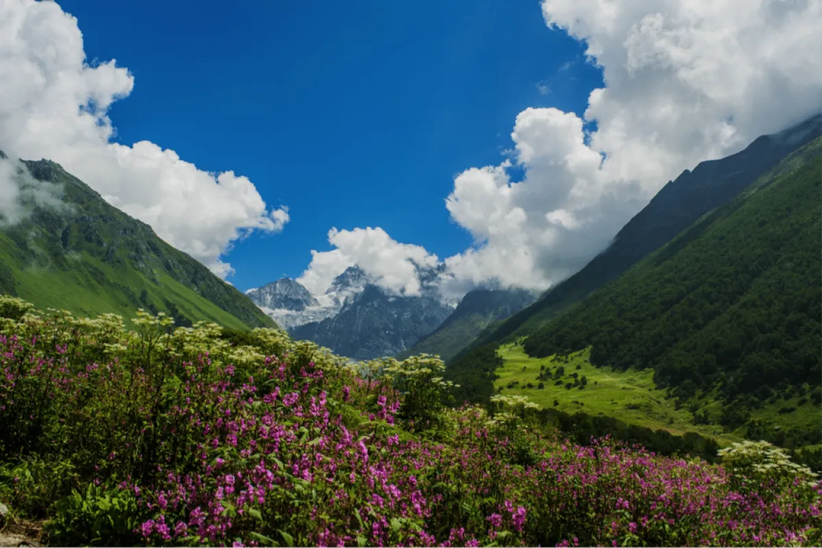 Valley of Flowers: उत्तराखंड की शान और विश्व दारोहर फूलों की घाटी खुली 
