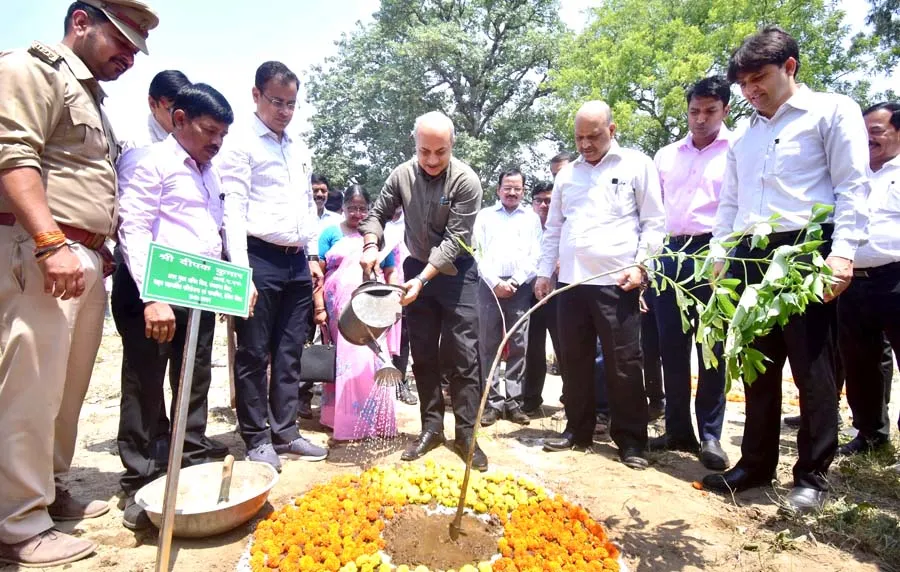 अब औषधीय पौधों से महकेगा, लखनऊ में स्थापित राज्य शैक्षिक तकनीकी संस्थान, शिक्षा विभाग के अधिकारियों ने की पहल