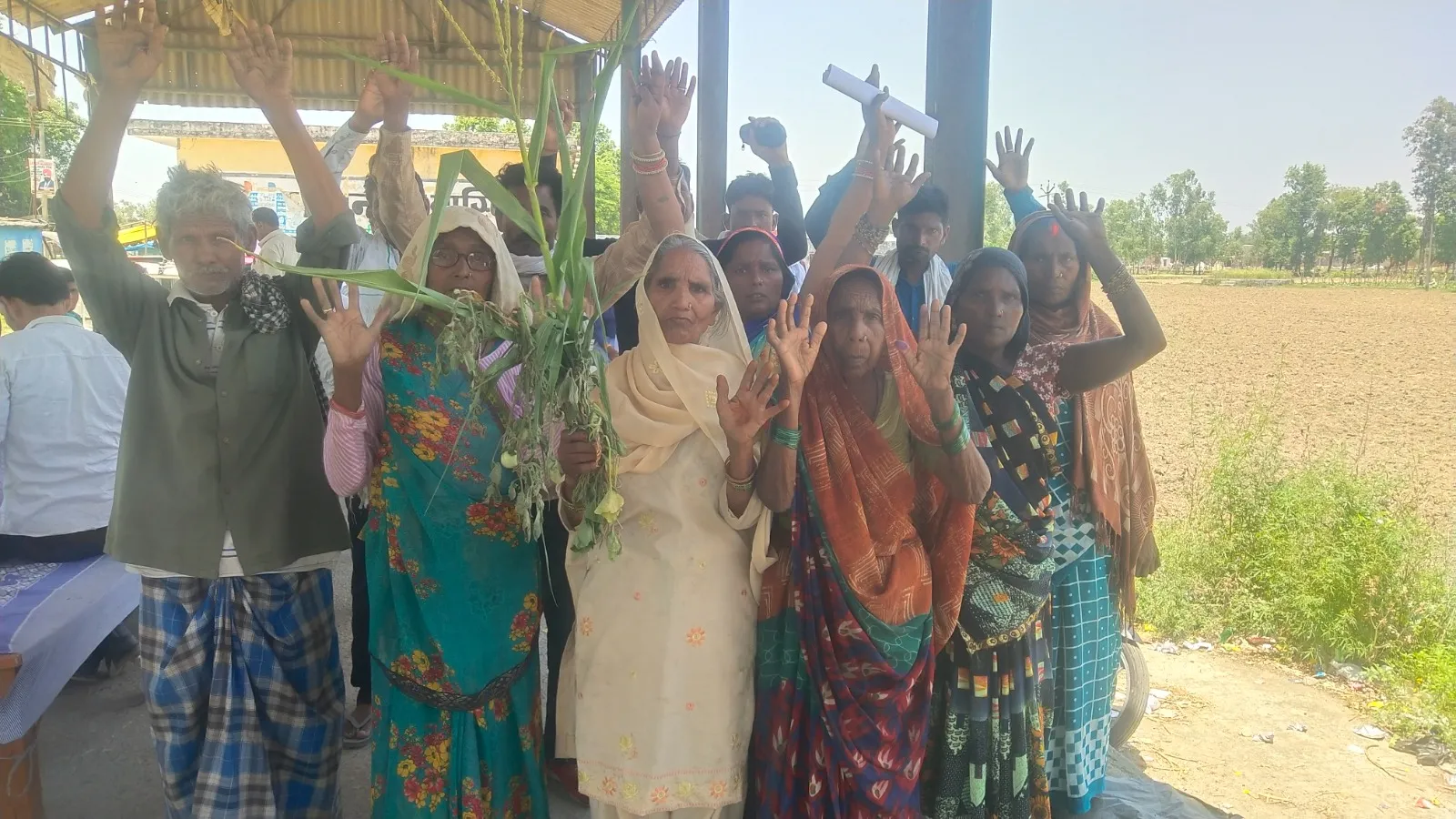 Pilibhit: डीएम साहब! भूमाफियाओं ने कर लिया पट्टे की जमीन पर कब्जा...न्याय दिला दो, जानिए पूरा मामला 