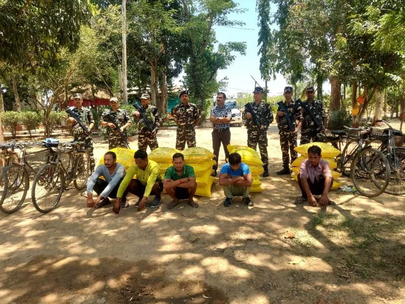 WhatsApp Image 2023-06-08 at 19.12.47