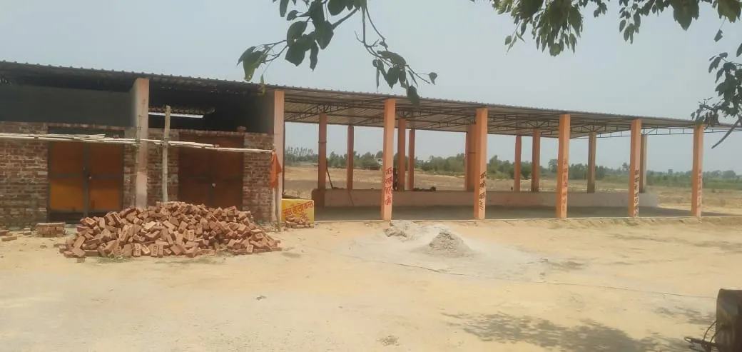 पीलीभीत: छुट्टा पशुओं का इतना आतंक, गोशाला में आश्रित गोवंश भी छोड़ने पड़ गए...जानिए पूरा मामला