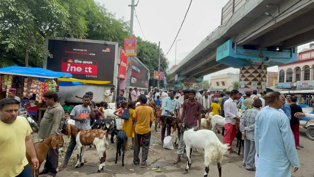 बरेली: बकरीद को लेकर सज गया बकरा बाजार, तोतापरी से लेकर देशी नस्ल के बकरों की डिमांड