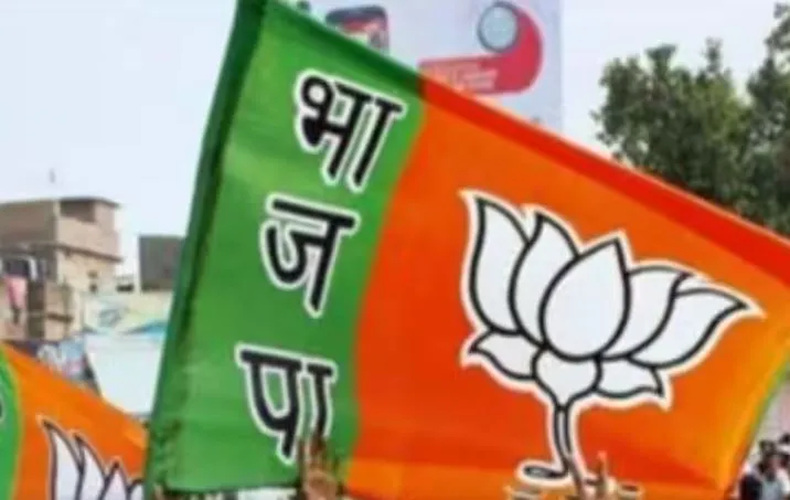 बरेली: सिस्टम का हाल...भाजपा विधायक की सुन नहीं रहे अफसर, बरसों से सड़क बदहाल
