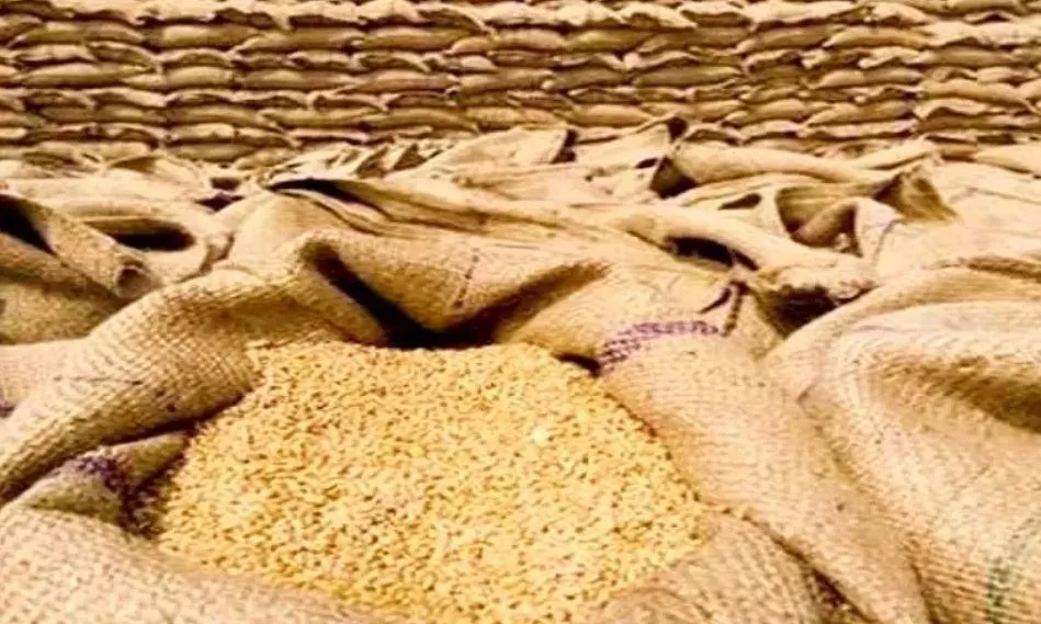 बरेली: सरकारी गोदाम रहेंगे खाली, कल बंद हो जाएगी गेहूं खरीद