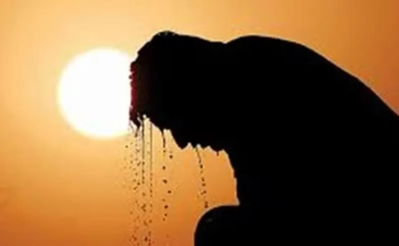लू का खतरा! बढ़ रहे हीट स्ट्रोक के मरीज, जाने लक्षण और बचाव