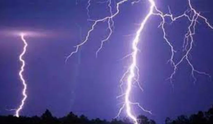 मेघालय: बिजली गिरने से एक परिवार के छह सदस्य झुलसे