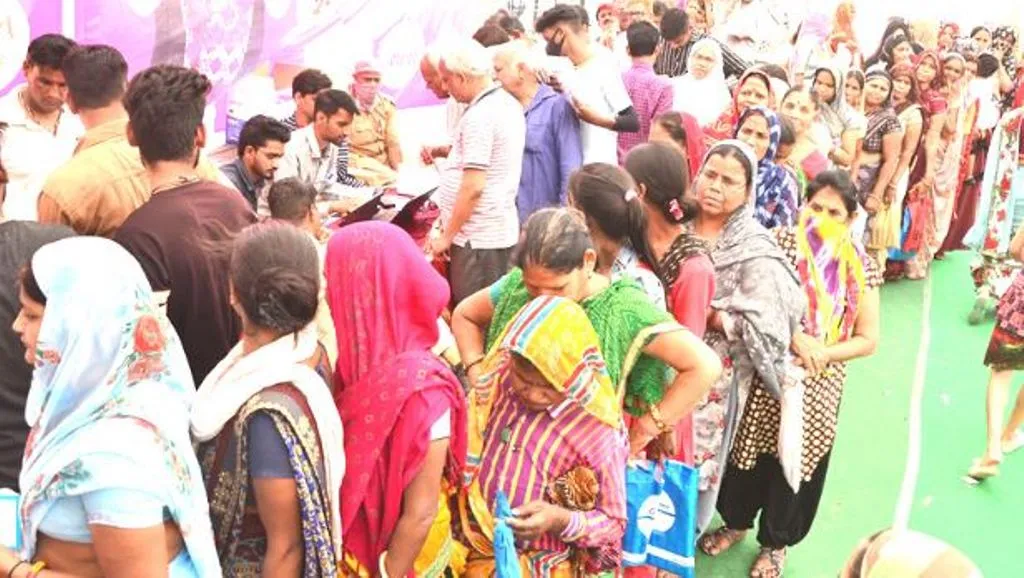 राजस्थान: 5 लाख से ज्यादा परिवारों ने कामधेनु बीमा योजना के लिए कराया रजिस्ट्रेशन 