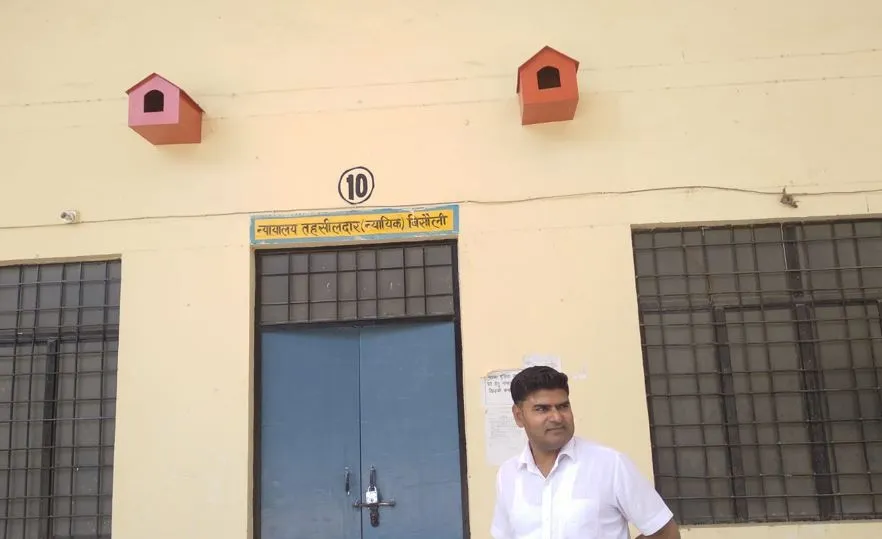 बदायूं: बिसौली तहसील परिसर बना चिड़ियों का बसेरा, दीवारों पर लगाए गए लकड़ी के रंग-बिरंगे घोसले