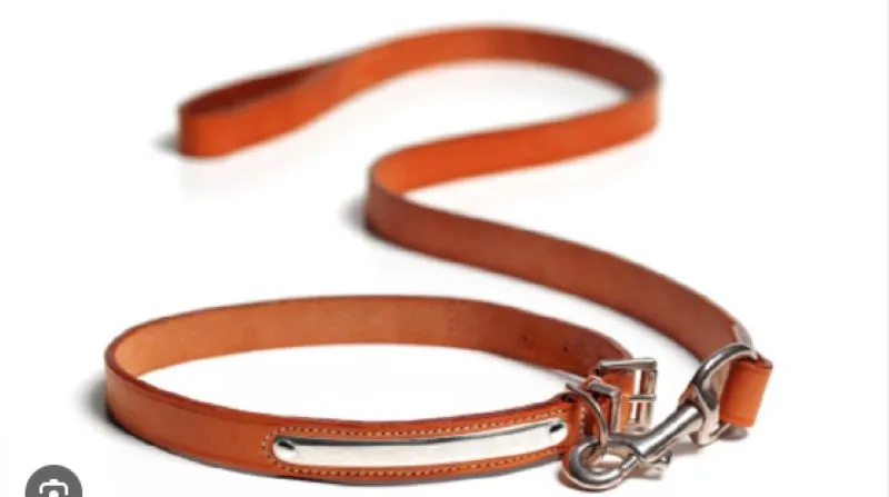 देहरादून: मौत का फंदा बना कुत्ते का पट्टा, बच्चे ने गवायी अपनी जान 