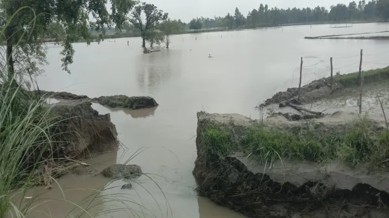 रायबरेली: सिल्ट उठाते समय खोद डाली नहर की पटरी, खेतों में भर पानी, धान को रोपाई हुई बाधित