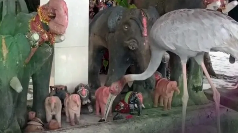 बस्ती के इस मंदिर में सारस लगाता है हाजिरी, घंटी बजाकर करता है मां काली की पूजा