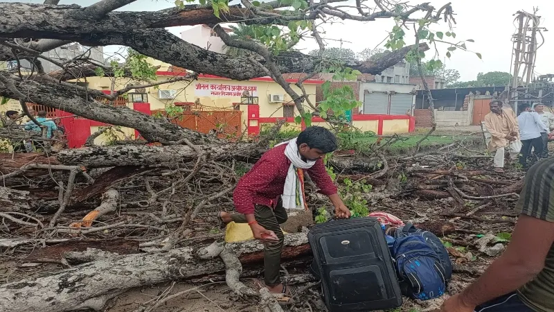 अयोध्या : रामपथ पर पुराना पीपल का पेड़ गिरा, कार क्षतिग्रस्त, मजदूर घायल 