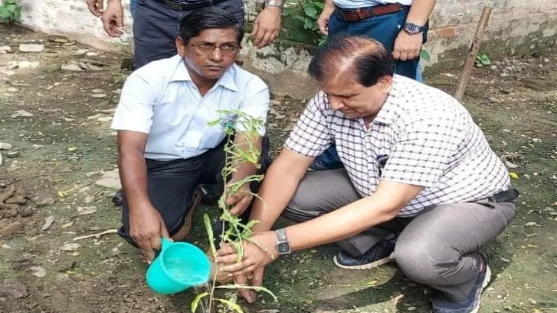 पर्यावरण संरक्षण : सीएचसी और पीएचसी में हुआ पौधरोपण