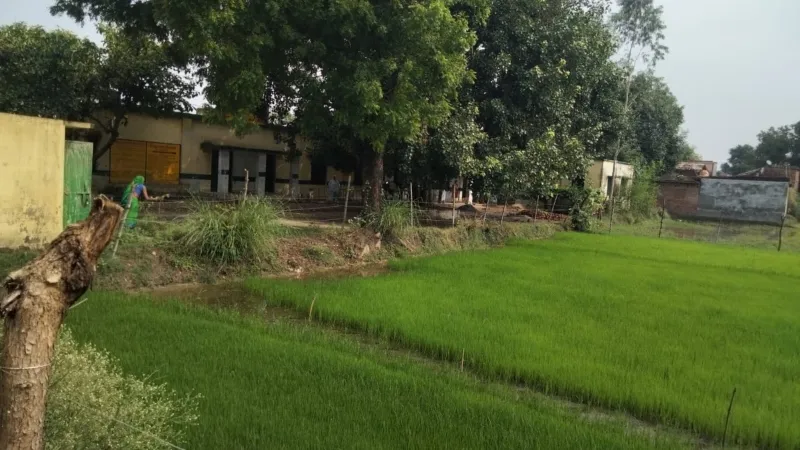 रायबरेली में स्कूल की भूमि पर भाजपा नेता ने कब्जा कर तैयार की फसल 