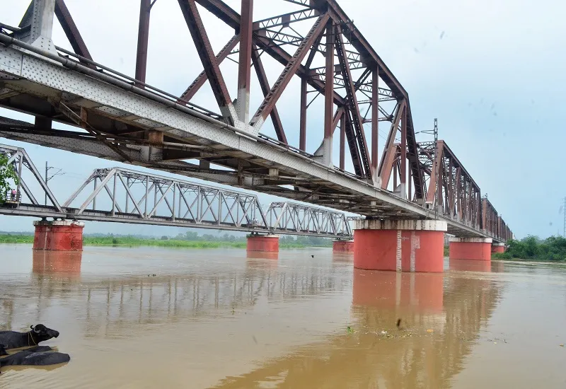 मुरादाबाद : बारिश बनी आफत, नदियां उफान पर...खेतों में पानी भरने से बढ़ी दिक्कत 