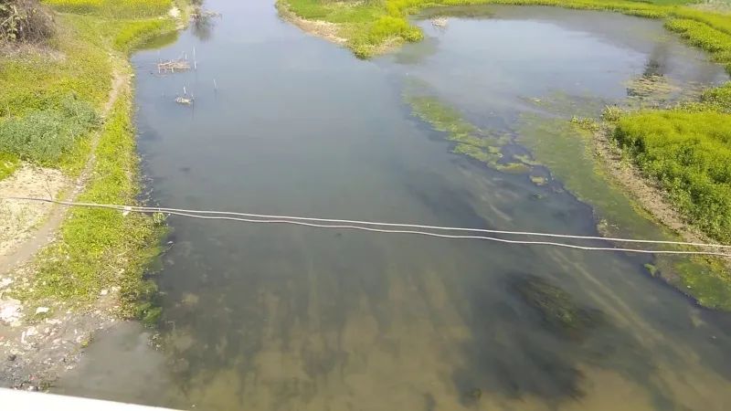 हरदोई : नहाने गए छात्र की सई नदी में डूब कर मौत