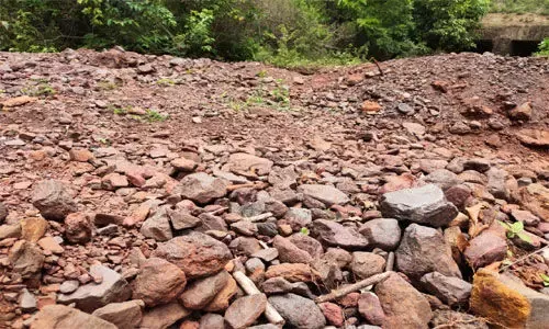 गरमपानी: पत्थरों की तस्करी पर शिंकजा कसने को वन विभाग अलर्ट