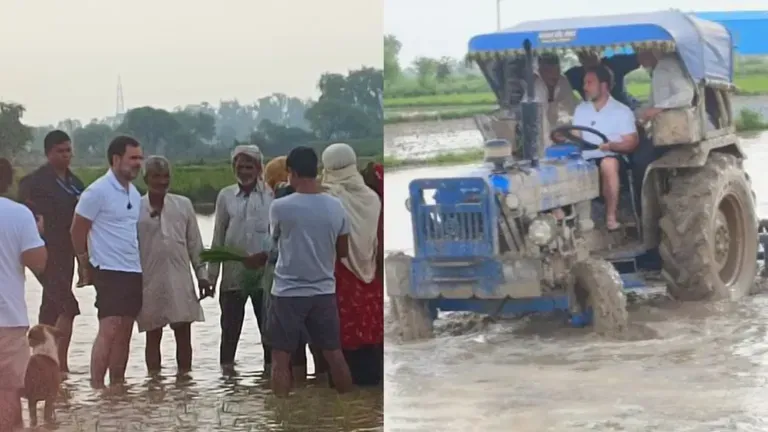 हरियाणा के सोनीपत पहुंचे राहुल गांधी, बोले- किसान भारत की ताकत हैं
