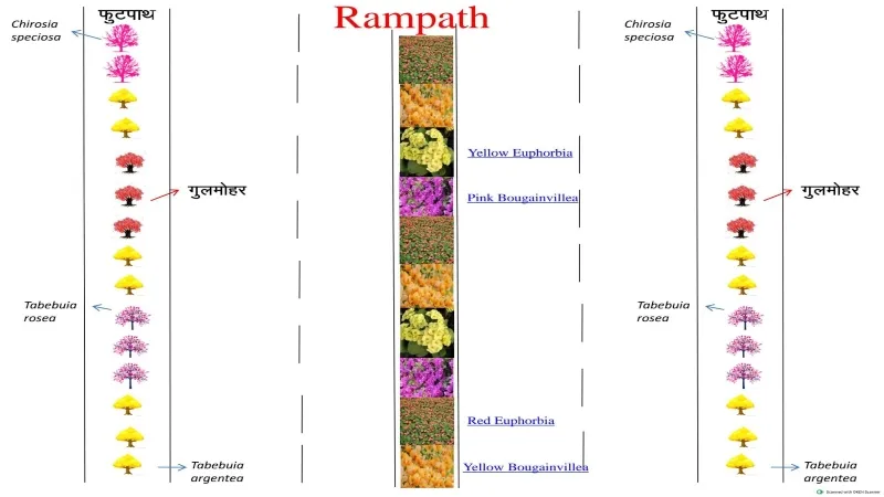 अयोध्या : लाल-पीले गुलाबी फूलों से सजेंगे मन्दिर के पथ 