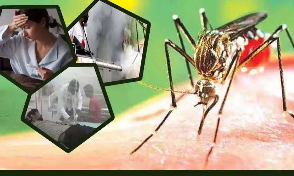 हल्द्वानी: बागजाला में डेंगू का डेरा, जिले में अब तक 9 मरीज मिले