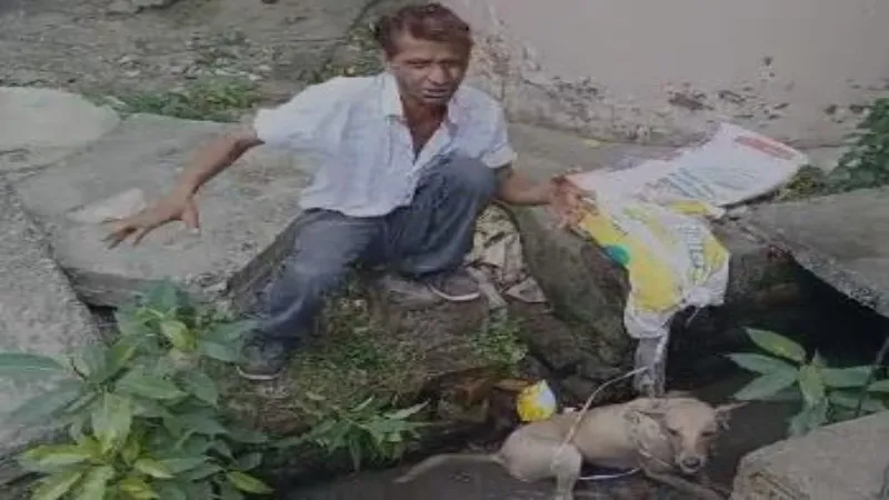 क्रूरता : Street Dog को बोरी में भरकर बनाया फुटबॉल, नाले में फेंका 