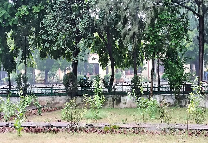 अनूठी पहल : यहां छात्रों को गलती करने पर मिलती है पौधरोपण की जिम्मेदारी 