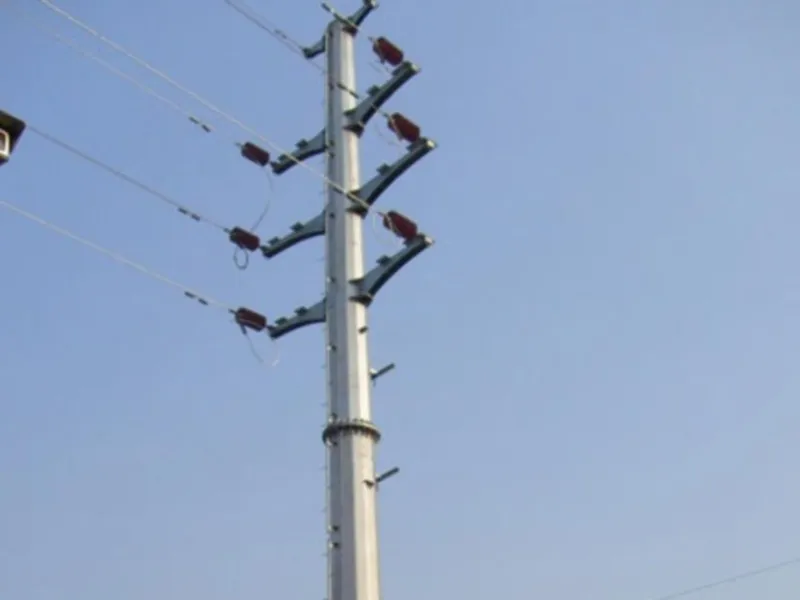 बरेली: लोगों को लुभाने के लिए बिल्डर ने कॉलोनी में लगा दिए पोल, अब बिजली विभाग कनेक्शन देने से कर रहा मना