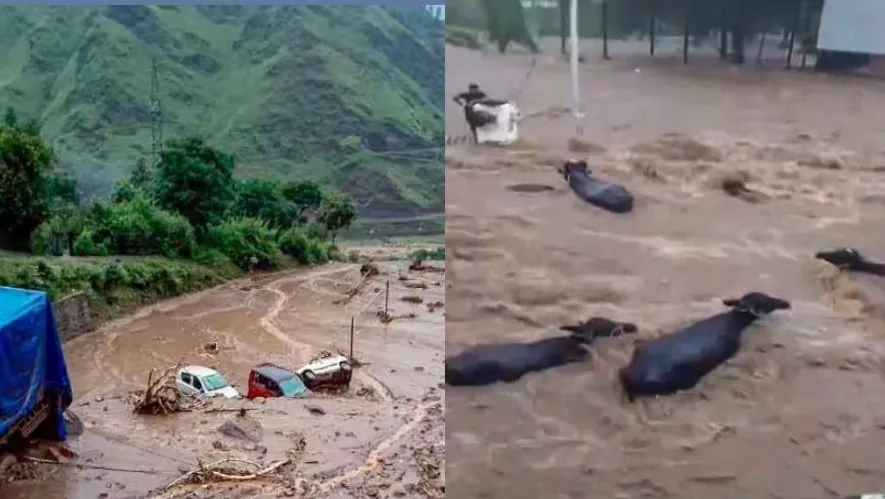 गुजरात के जूनागढ़ में बादल फटने से हाहाकार, कार तो कहीं मवेशी पानी में बहते आए नजर