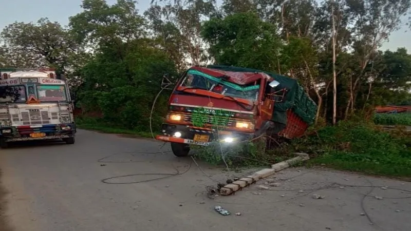 प्रयागराज : वसूली के चक्कर में मवेशियों से भरी डीसीएम अनियंत्रित होकर पलटी, 11 पशुओं की मौत - 4 घायल